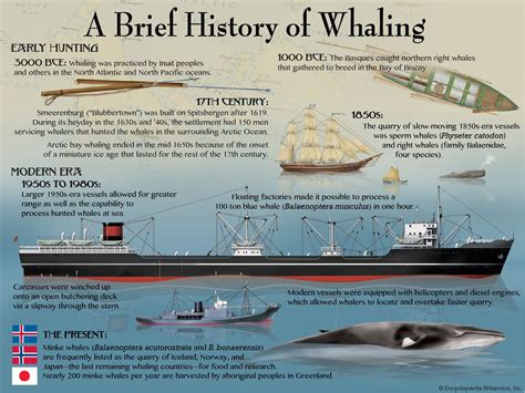 The History of Whaling and the International Whaling 